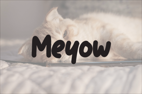Meyow Font: A Typeface That Elevates Everyday Branding
